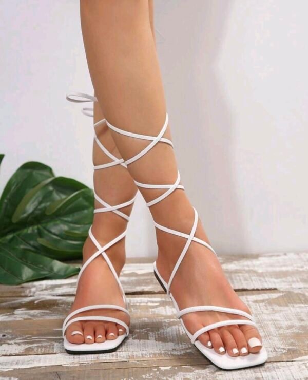 صورة المنتج