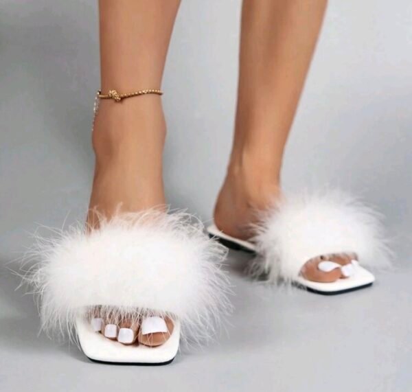 بابوج ريش ستاتي