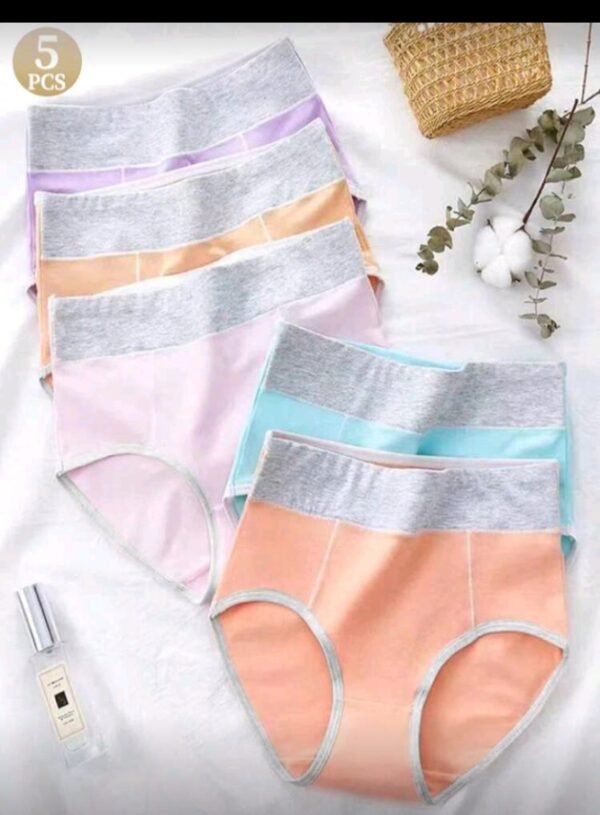 كلوتات داخليه