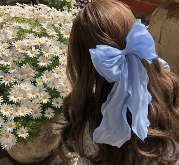 مشبك شعر بفيونكة