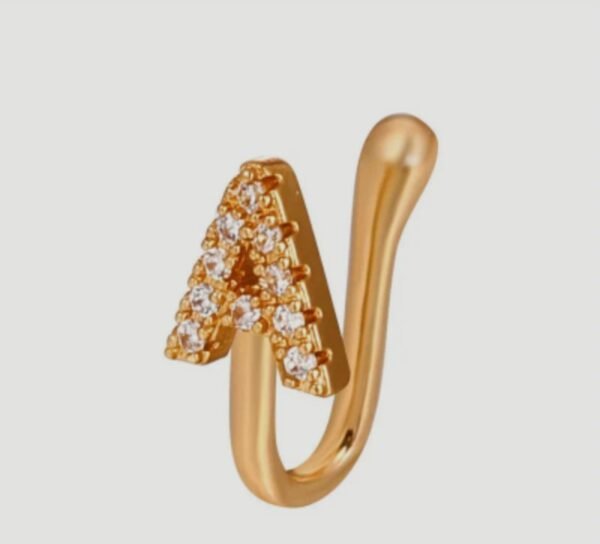 صورة المنتج