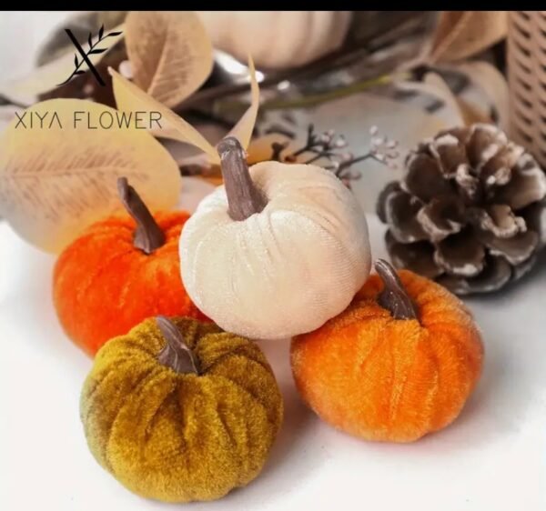 صورة المنتج