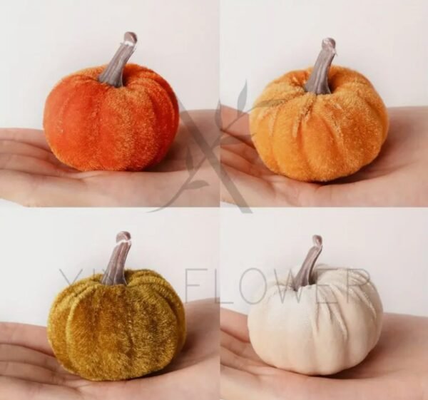 صورة المنتج