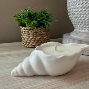 قالب سيليكون