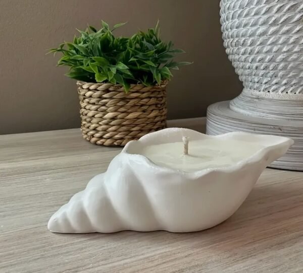 قالب سيليكون