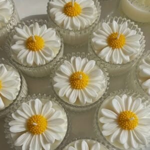 قالب سيليكون