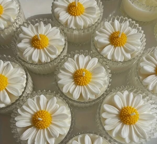 قالب سيليكون