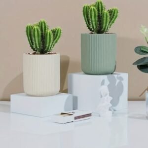 قالب سيليكون