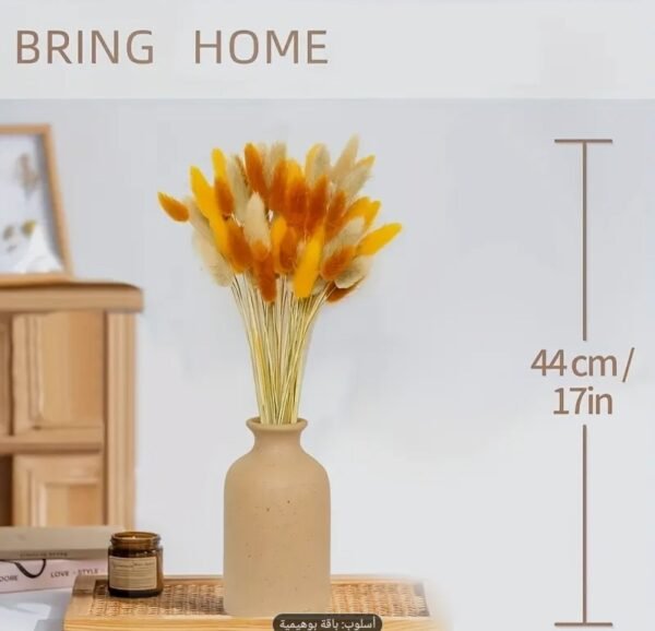 صورة المنتج