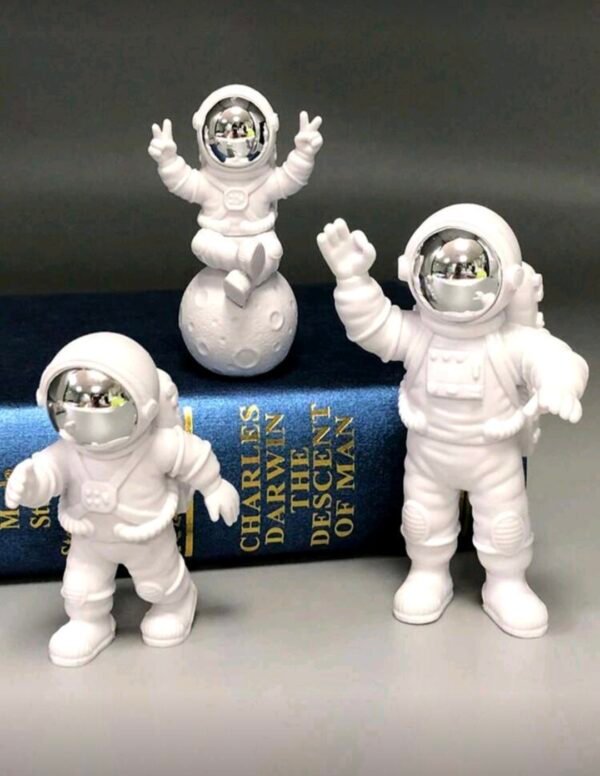 صورة المنتج