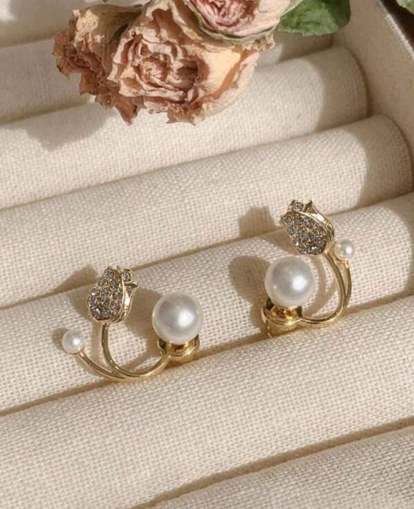 صورة المنتج