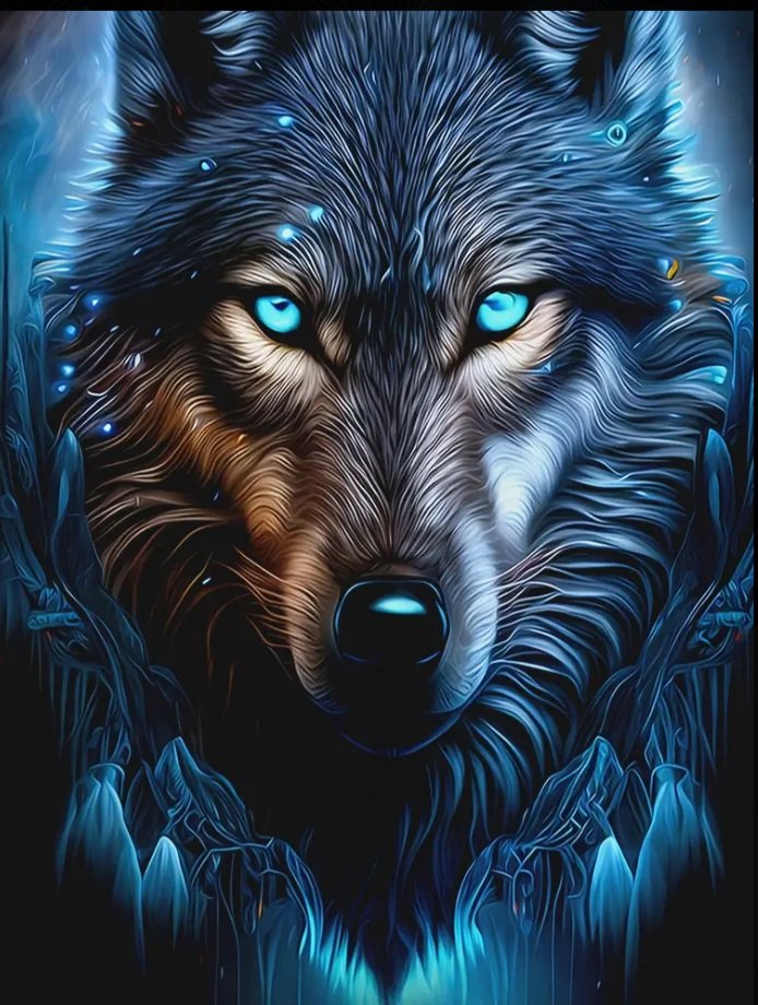 هودي ولادي - الصورة 2