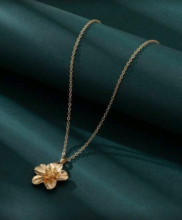 صورة المنتج