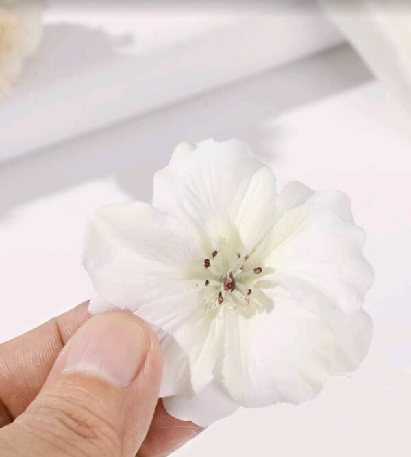 صورة المنتج
