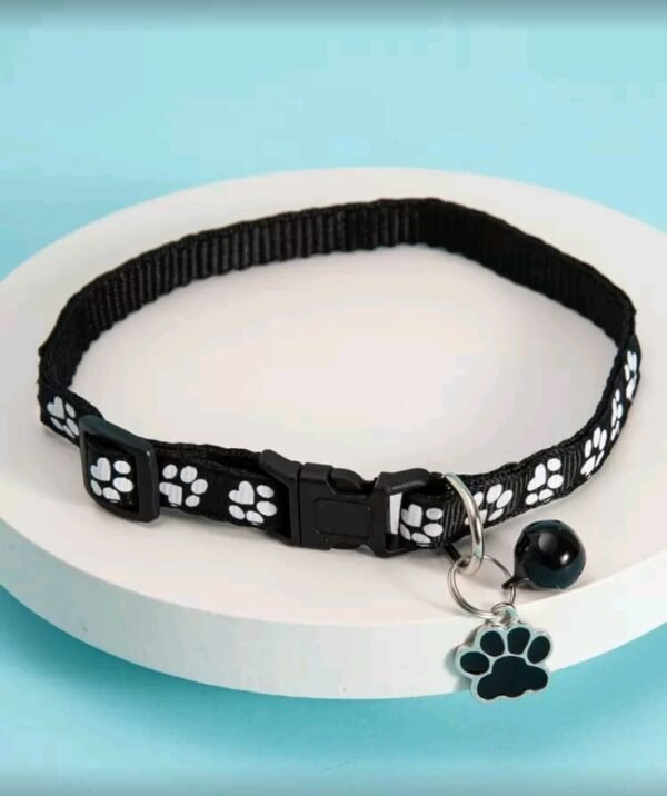 صورة المنتج