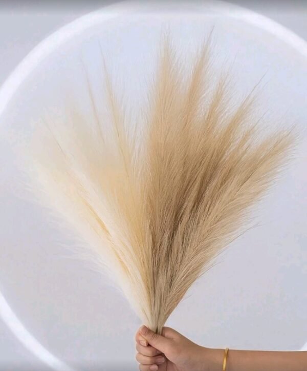 صورة المنتج