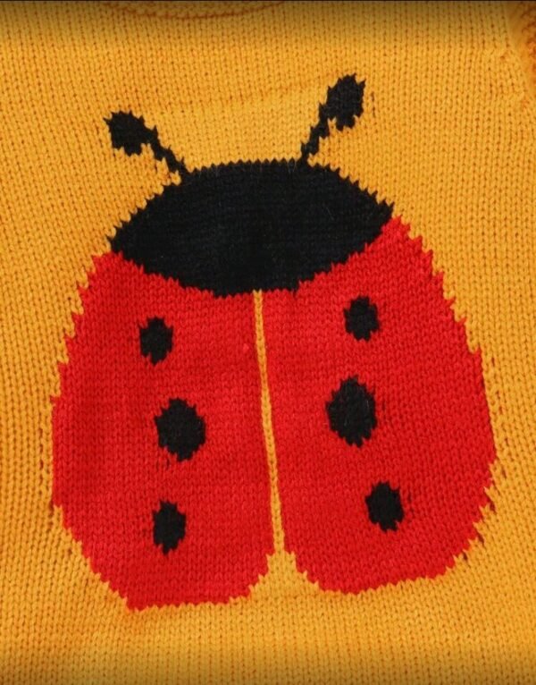 صورة المنتج