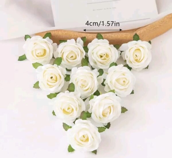 صورة المنتج