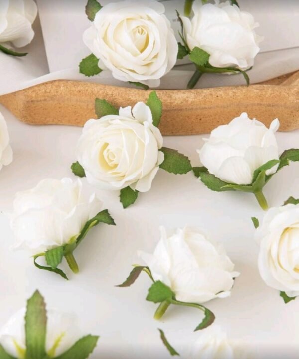 صورة المنتج