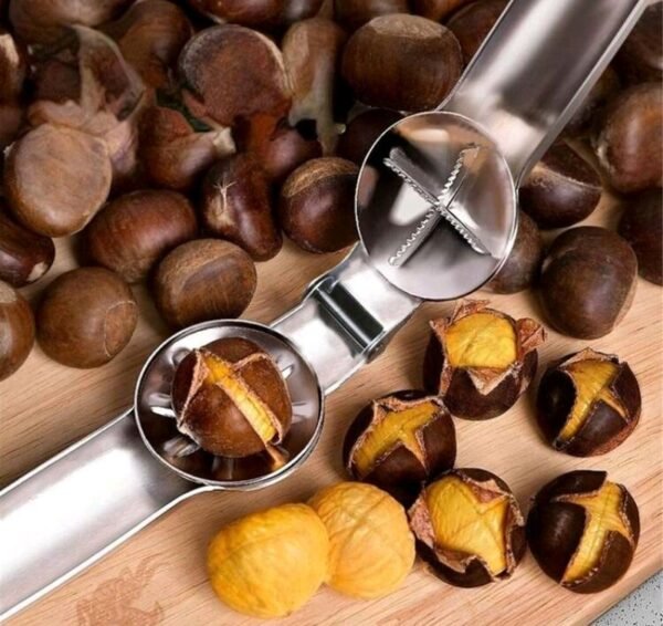 فتاحة كستناء