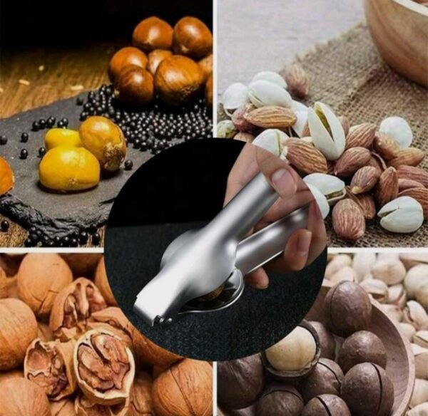 صورة المنتج