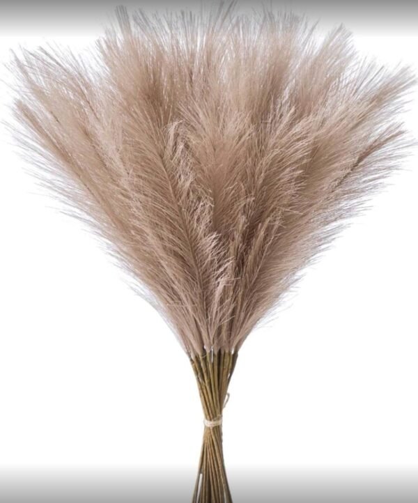 صورة المنتج