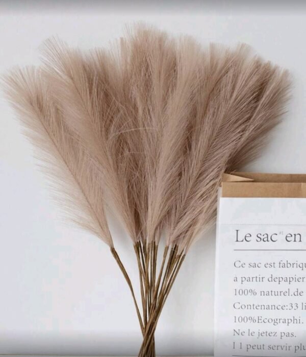 صورة المنتج