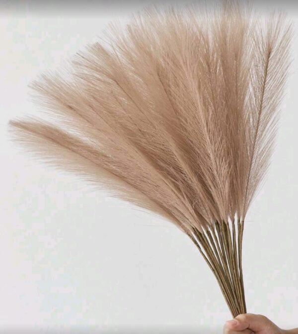 صورة المنتج