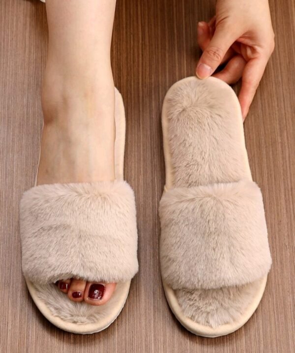 صورة المنتج