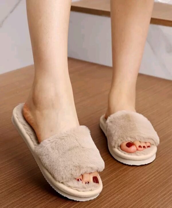 صورة المنتج