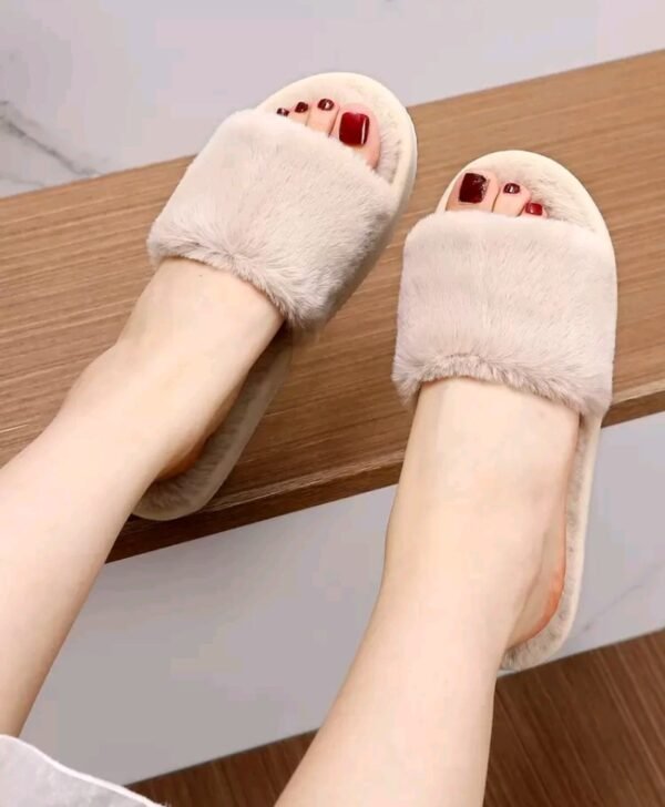 صورة المنتج