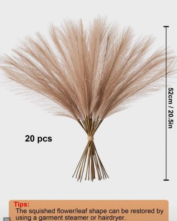 صورة المنتج