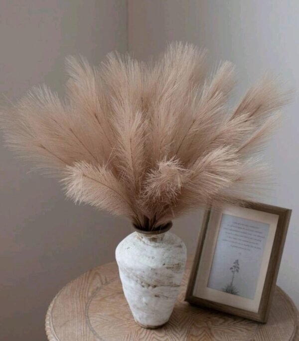 صورة المنتج