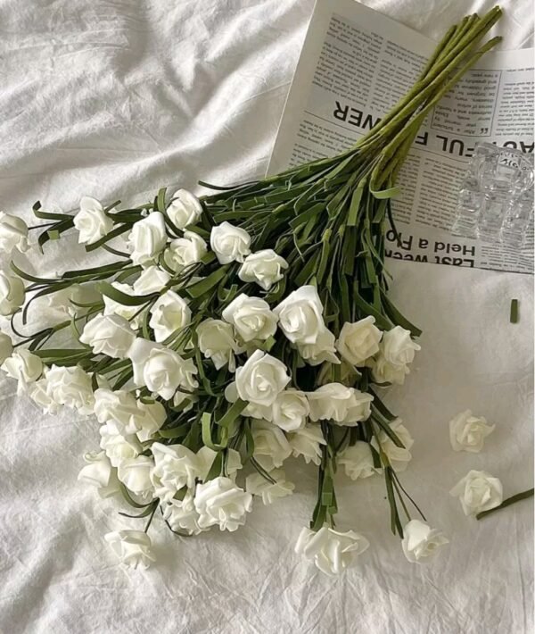 صورة المنتج