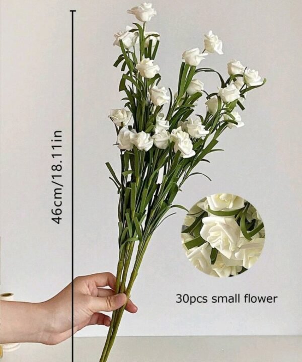 صورة المنتج