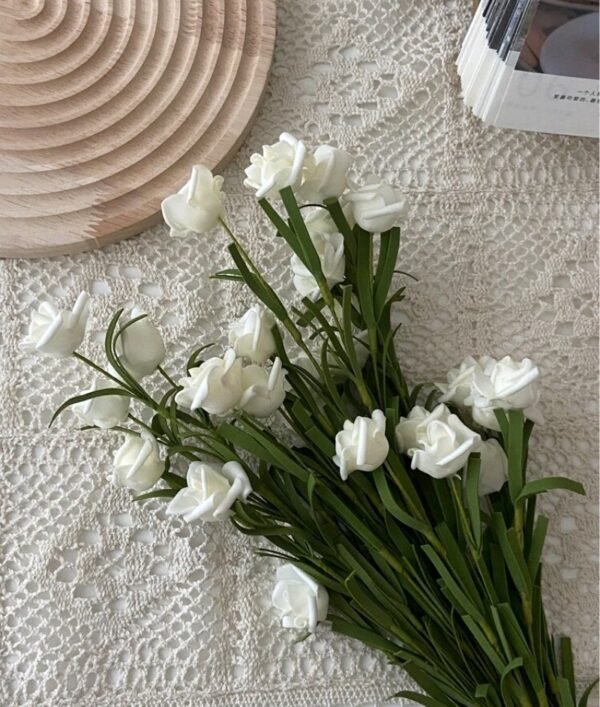 صورة المنتج