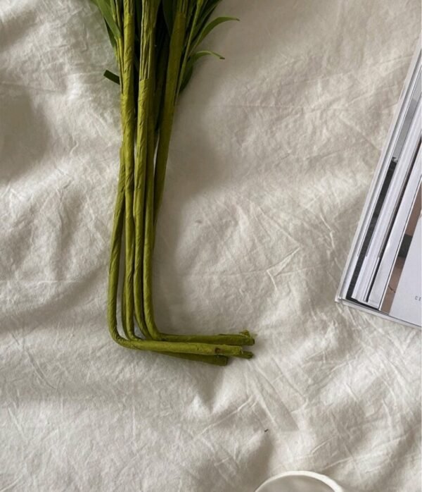 صورة المنتج