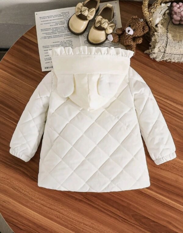 صورة المنتج