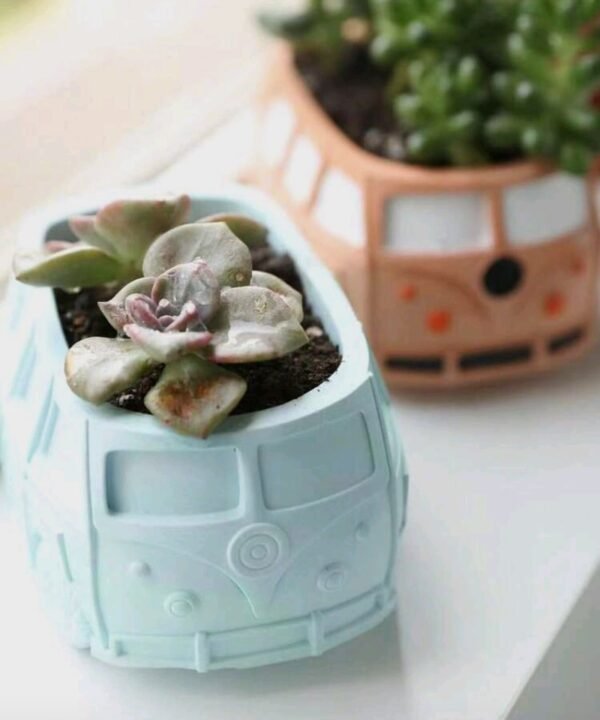 صورة المنتج