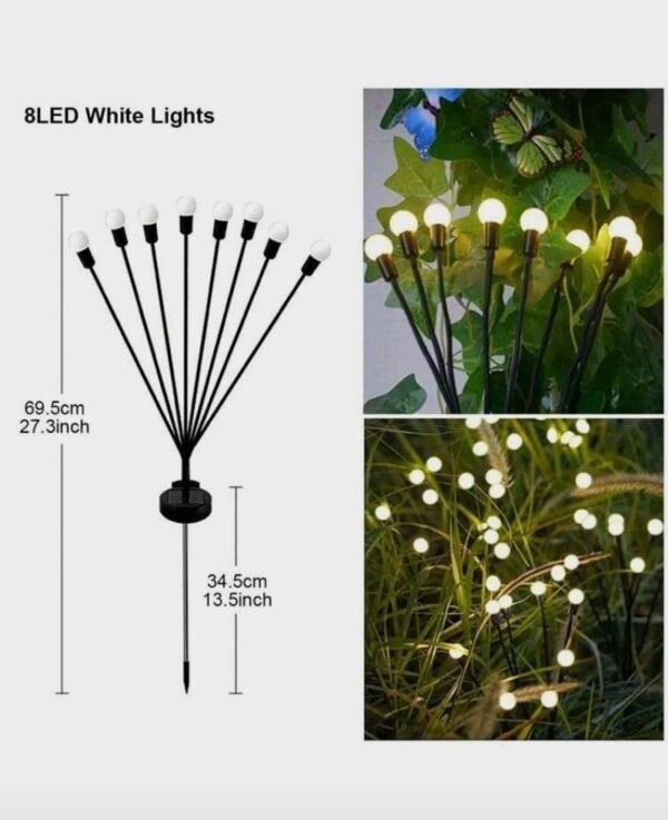 صورة المنتج