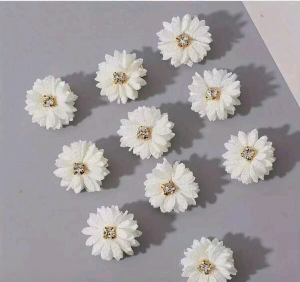 صورة المنتج