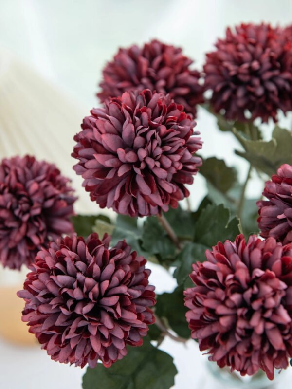 صورة المنتج